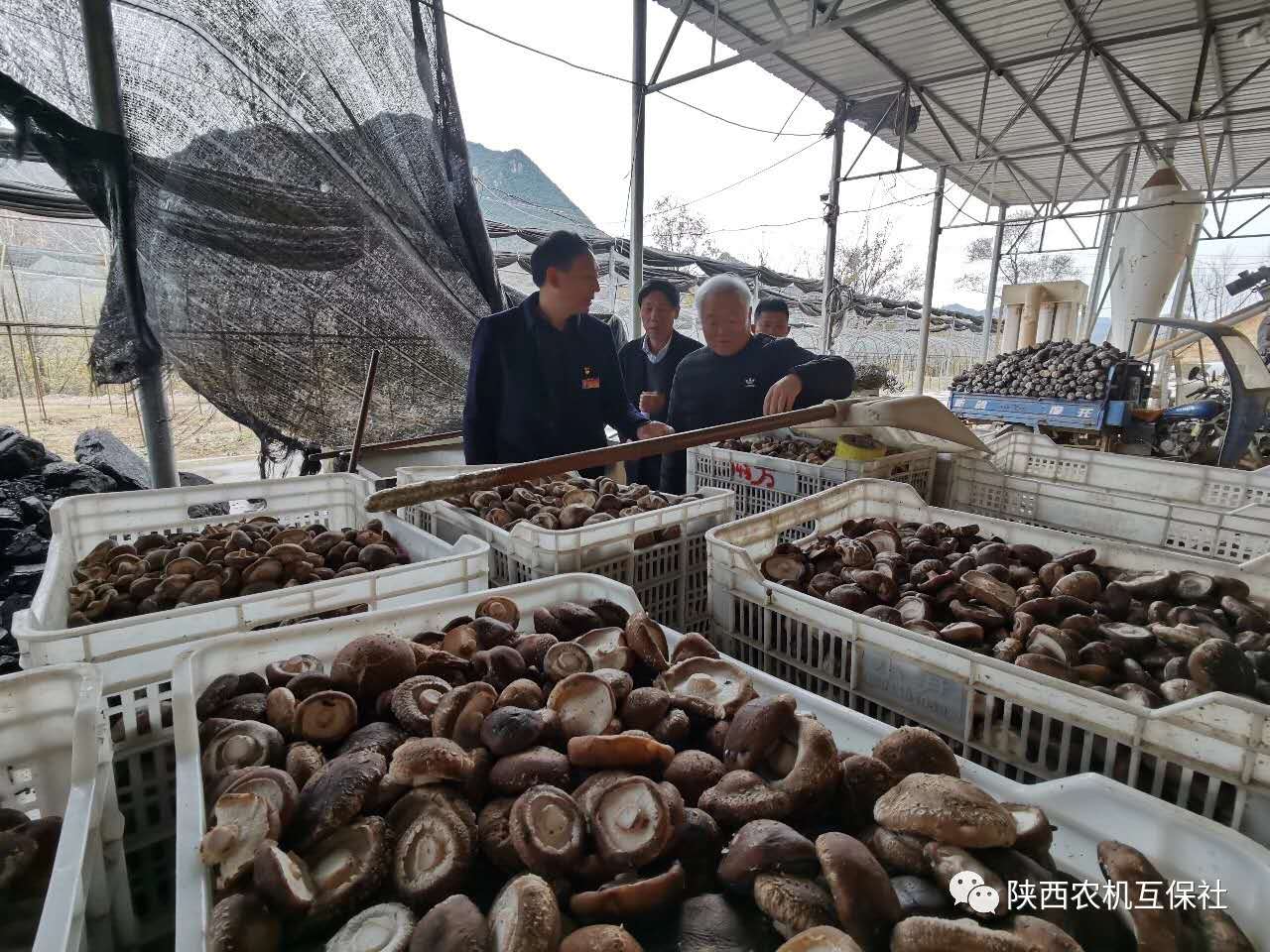 1577932430740619.jpg 微信图片_20200102103744.jpg